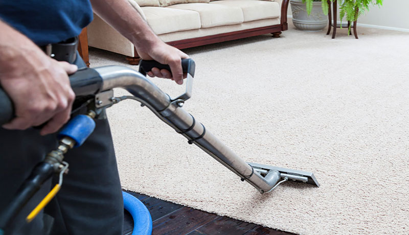 Professional Steam Carpet Cleaning