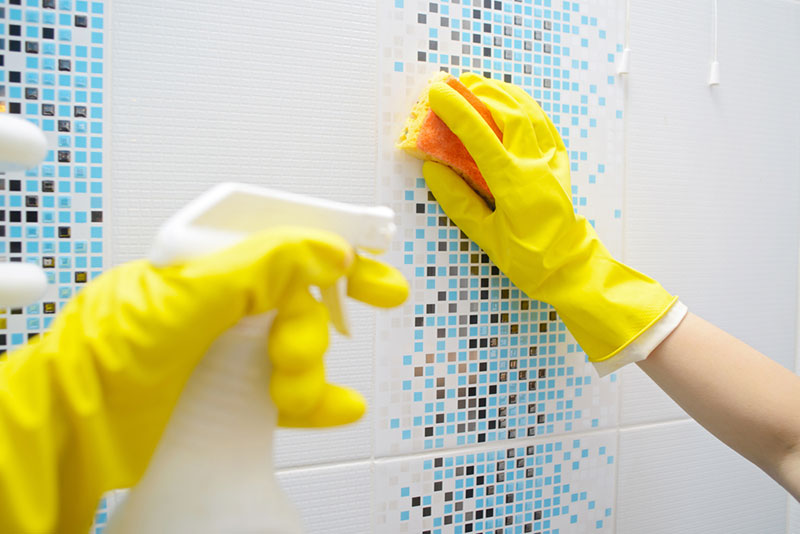 grout cleaning