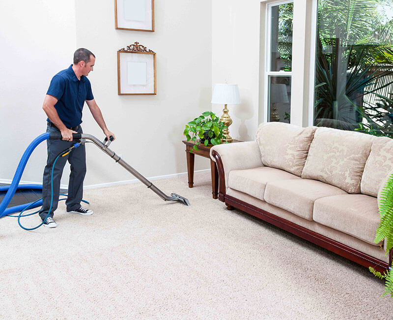 Professional Steam Carpet Cleaning