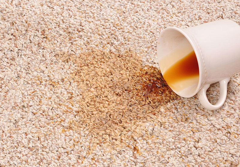 Carpet Cleaning: Coffee Stain